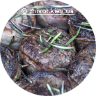 Beef tenderloin medallions with rosemary