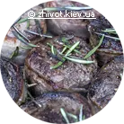 Медальйони з яловичої вирізки на грилі