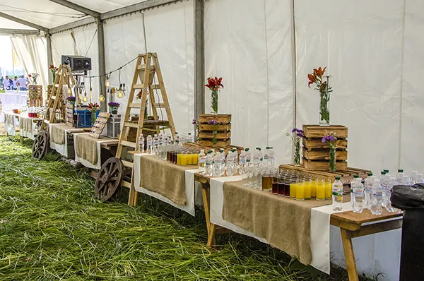 Живот-кейтерінг, день поля у Вінницькій області