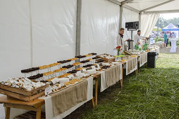 Живот-кейтерінг, день поля у Вінницькій області