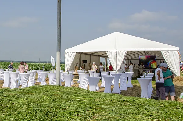 Живот-кейтерінг, день поля у Вінницькій області