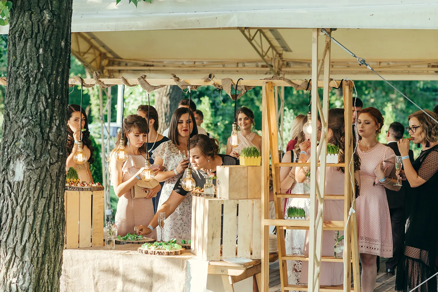 Живот-кейтерінг, випускний вечір університету Богомольця, вітальний фуршет та банкет