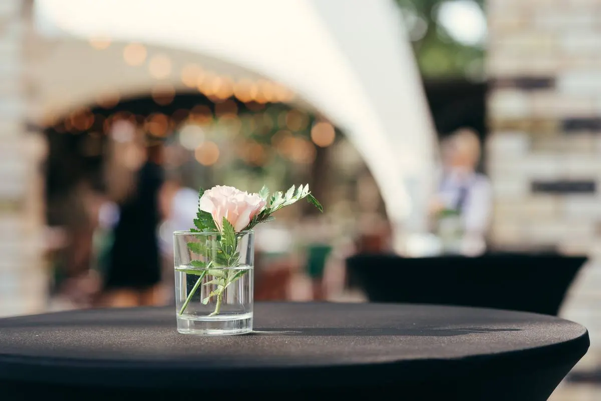 Живот-кейтерінг, смарагдове весілля. Вітальний фуршет та банкет