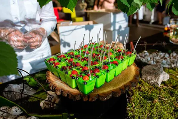 Живот-кейтерінг, концептуальний фуршет в стилістиці «Джунглі